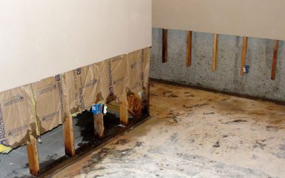 Professional Drywall Fixes in Englewood, Florida